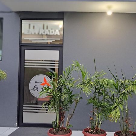 Hostal Los Lirios ロハ エクステリア 写真